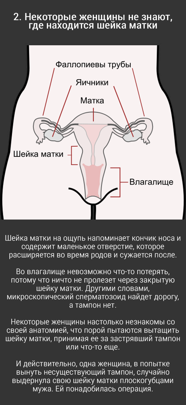 10 жутковатых фактов о влагалище анатомия, женское тело, факты