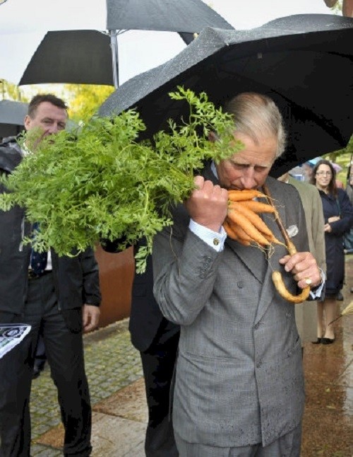 10. Вот что случилось, когда принц Чарльз узнал, что морковь полезна для зрения британия, королева Елизавета, королевская семья, этот неловкий момент