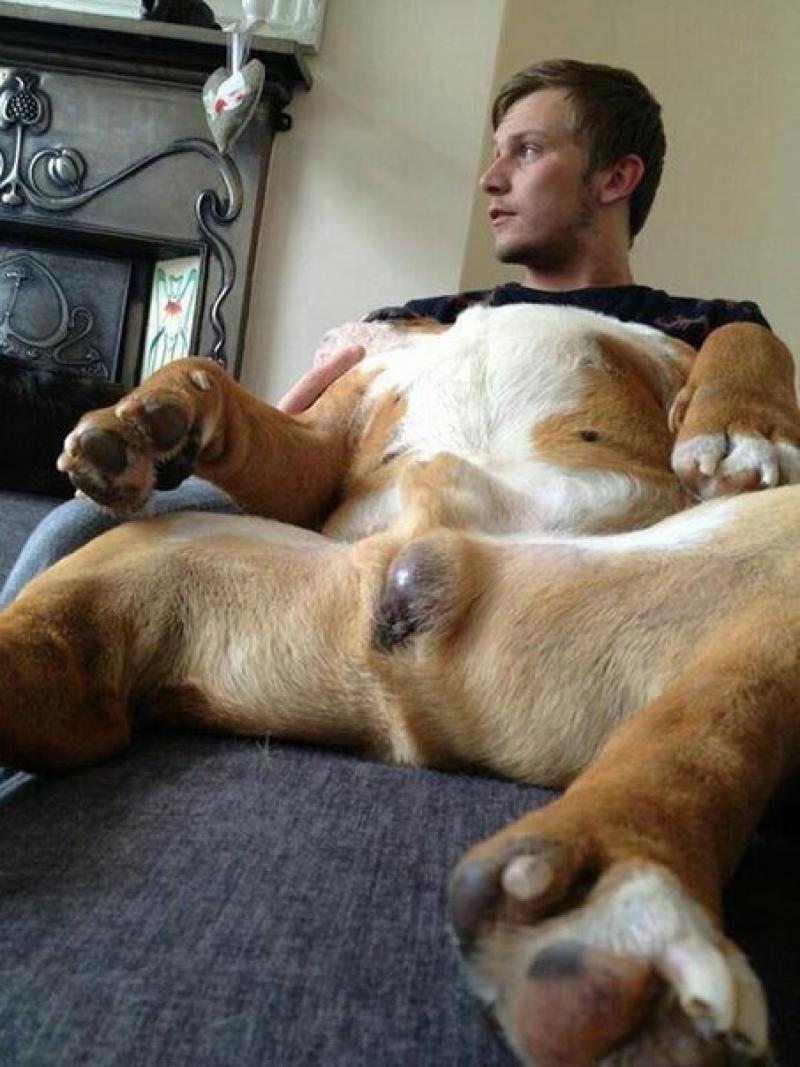 Homem dando pro cachorro