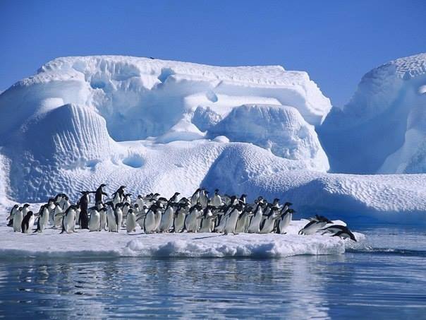 Ледяная Вселенная: факты об Антарктиде