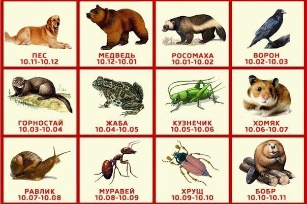 Не знаем зачем, но вот вам славянский звериный гороскоп :)