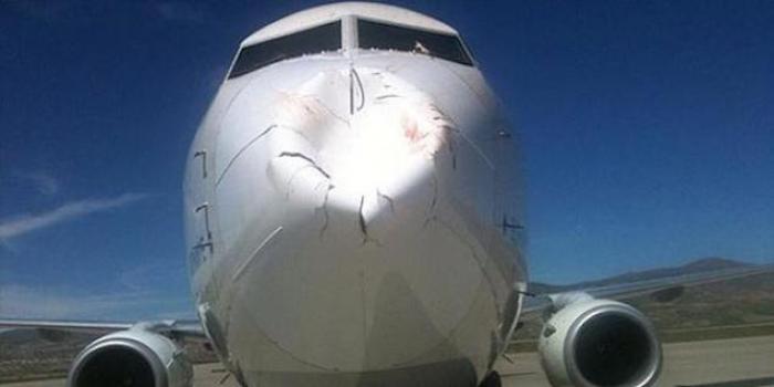 ФОТО ДНЯ: Вот что происходит, когда стая птиц встречается с самолетом.