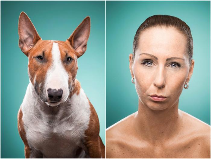 Фотопроект: сравнение собак и их хозяев.
